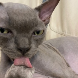 LongPort - 珠海小言