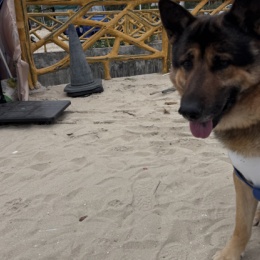 LongPort - 狙击手v