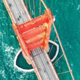 LongPort - Dolphin fans