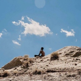 Longbridge - 澳洲仔西子