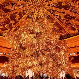 LongPort - 新用户_发财哥