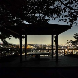 Longbridge - Roselia