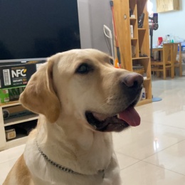 LongPort - MWandMaggie