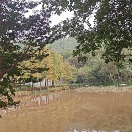 LongPort - 芭菲特中国分巴