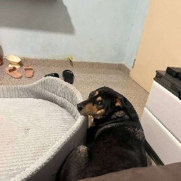 Longbridge - Jun Hao Leong