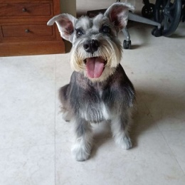 LongPort - NewUser_WtRULB