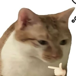 LongPort - 猫仔不知道太多事