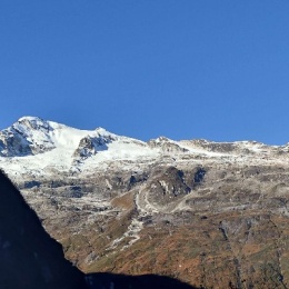 LongPort - 孤独的韩小霸