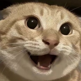 LongPort - 新用户_12VHYZ