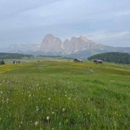 LongPort - Star Bright