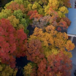 LongPort - 孤独的韩小霸啊