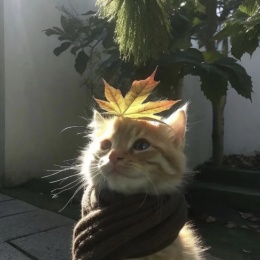 LongPort - Lee玩资本