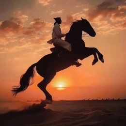 LongPort - 彩虹总在风雨后.