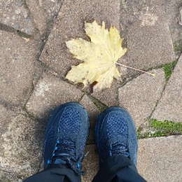 LongPort - worldwideroam