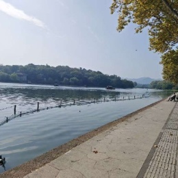 LongPort - 畅游牛市