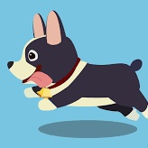 LongPort - 甩饼哥