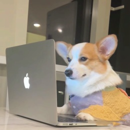 LongPort - 我不是小明