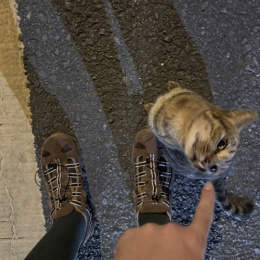 LongPort - 杨爷爷