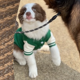 LongPort - 阿要辣油啊