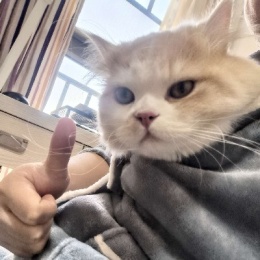 LongPort - Lovesleep