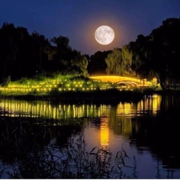 LongPort - 和伟大同行