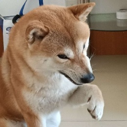 LongPort - 切比水夫