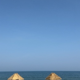 Longbridge - Truscale z