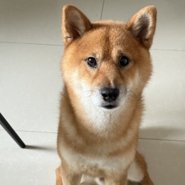 LongPort - 西昻翔