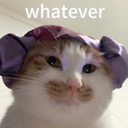 LongPort - CuteScarlett