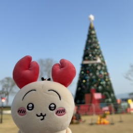 LongPort - Usagi的成长历险记