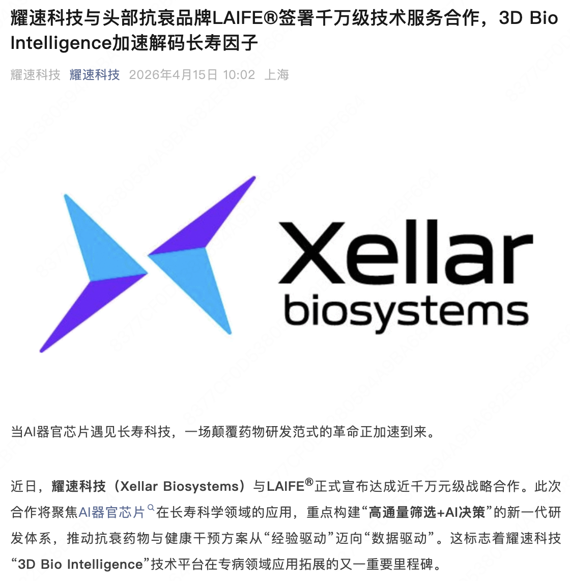图片 1，共 1 张