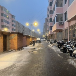 LongPort - Amymini520