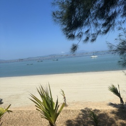 LongPort - Mandy进取账户