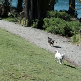 LongPort - 鲁班大师