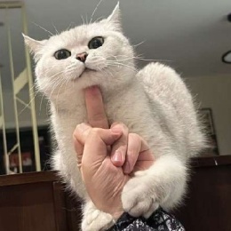 LongPort - 坚定看好蔚来