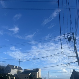 LongPort - 韭菜根&