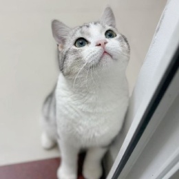 LongPort - 一起踏踏实实