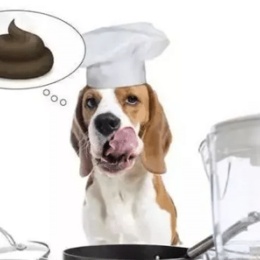 LongPort - 欲擒故纵概率论