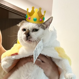 LongPort - 自由空气