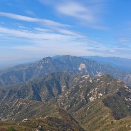 LongPort - 皮尔卡松