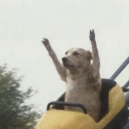 LongPort - 川普忧郁的眼睛