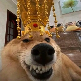 LongPort - 金坛张学友