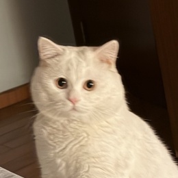 雪碧让我发发发