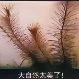 LongPort - 靠美股发家