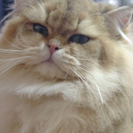 LongPort - 瞄准月亮