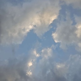 LongPort - 戴维地