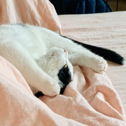 KimiW