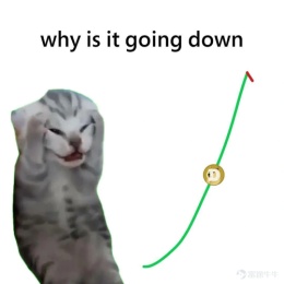 LongPort - 反向股神