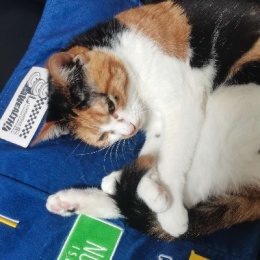 LongPort - 新用户cq涞洣洣