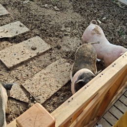 LongPort - 做对事，事做对